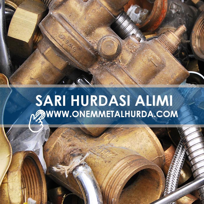 SARI HURDASI ALIMI
